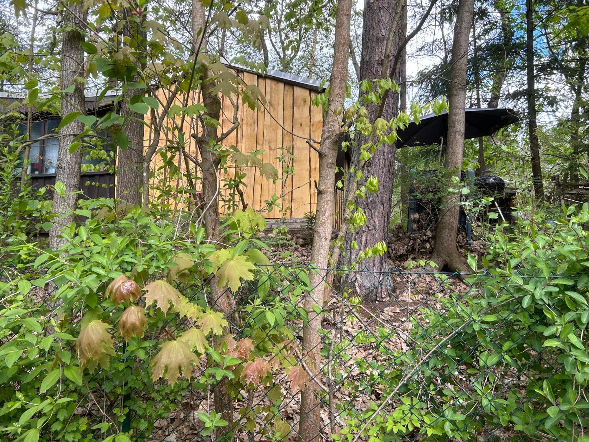 Bungalow Biberspur Zieko Екстериор снимка